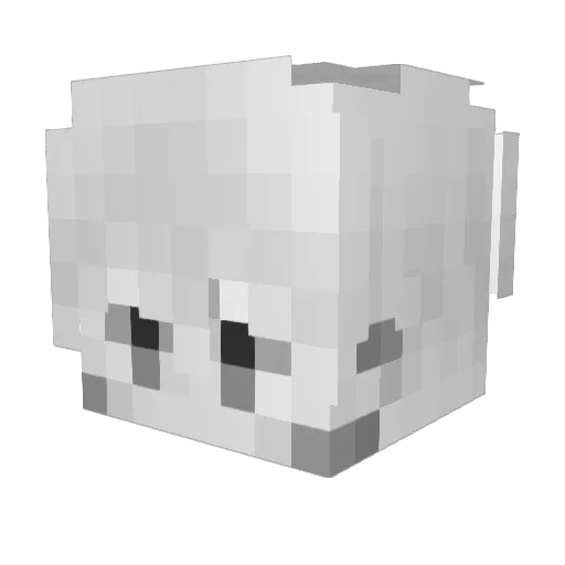 HOU_777 Minecraft avatar head, 3D render
