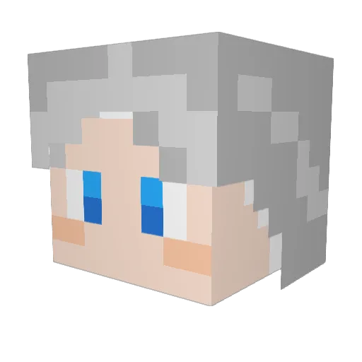 HOVEIJOZI Minecraft avatar head, 3D render