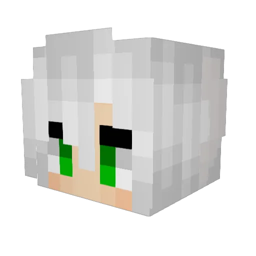 HOYA_413 Minecraft avatar head, 3D render