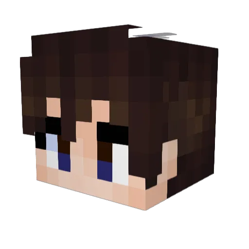 HOZA4 Minecraft avatar head, 3D render