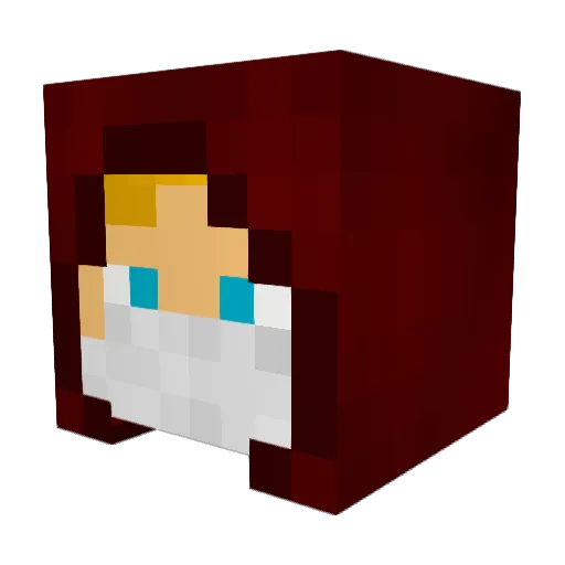 HP2006 Minecraft avatar head, 3D render