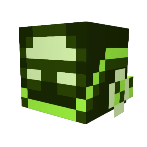 HPKritical Minecraft avatar head, 3D render