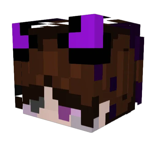 HPMED1 Minecraft avatar head, 3D render