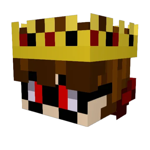 HP_BEARS Minecraft avatar head, 3D render