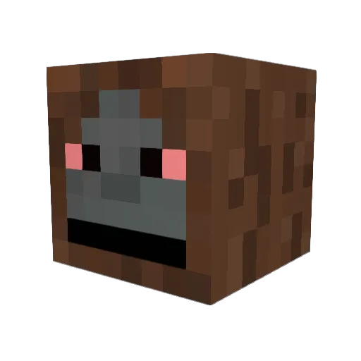 HP_Wizard Minecraft avatar head, 3D render