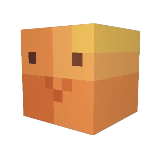 HPvE Minecraft avatar head, 3D render
