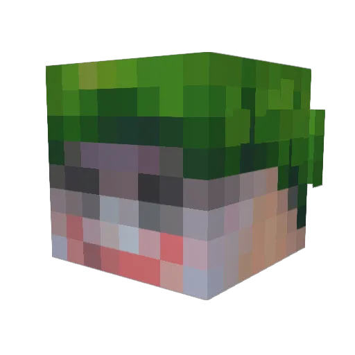 HRPILOT Minecraft avatar head, 3D render