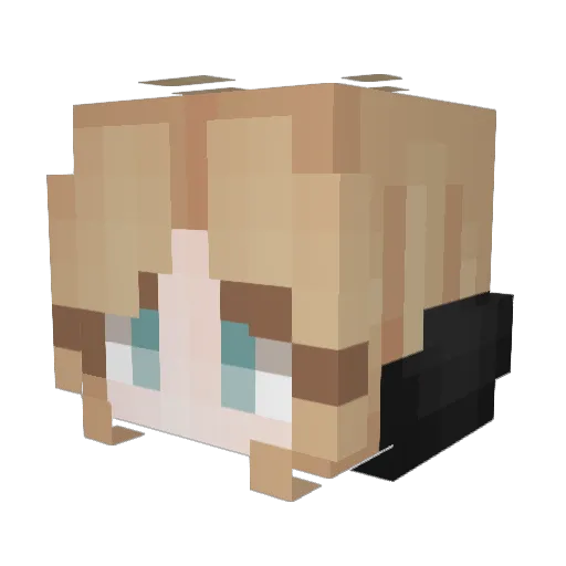 HR_Dawg Minecraft avatar head, 3D render