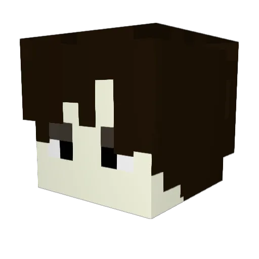 HSKK2016 Minecraft avatar head, 3D render