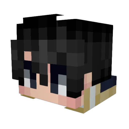 HSKincognito Minecraft avatar head, 3D render