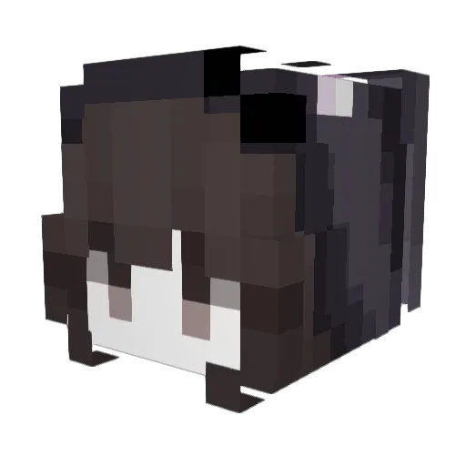 HSM2014 Minecraft avatar head, 3D render