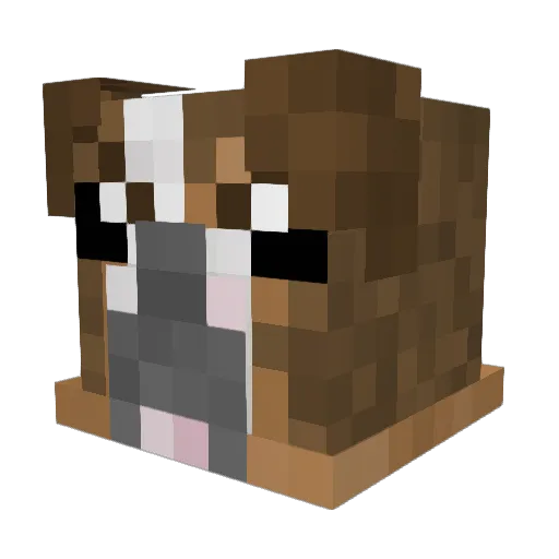 HSPengu Minecraft avatar head, 3D render