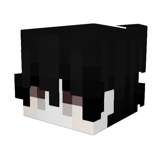 HSU17 Minecraft avatar head, 3D render