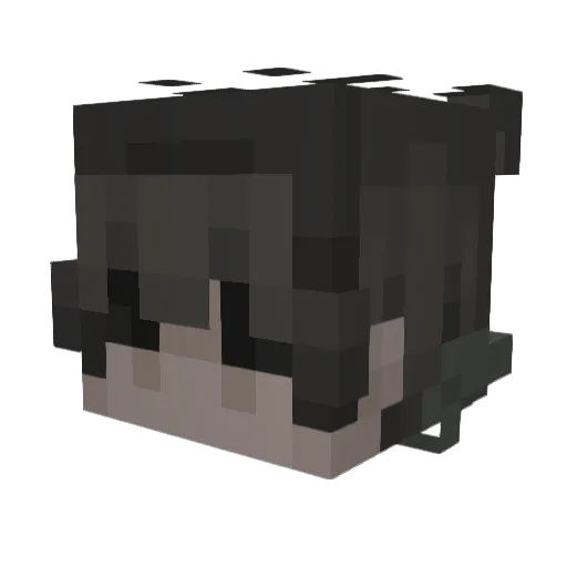 HS_0 Minecraft avatar head, 3D render