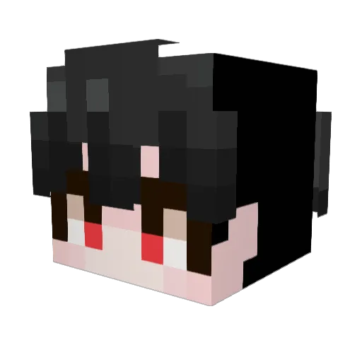 HS_49 Minecraft avatar head, 3D render