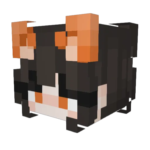 HS_HS Minecraft avatar head, 3D render