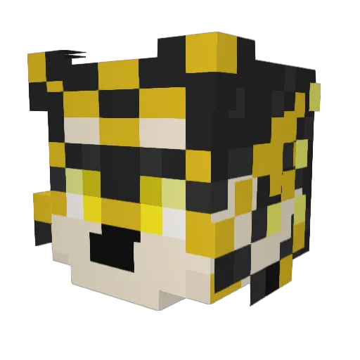 HSanyin Minecraft avatar head, 3D render