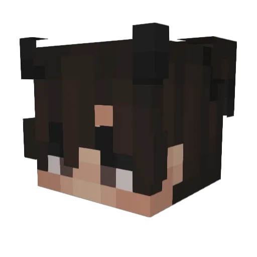 HSboom Minecraft avatar head, 3D render