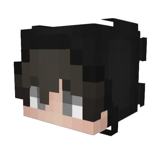 HSxMaster_ Minecraft avatar head, 3D render