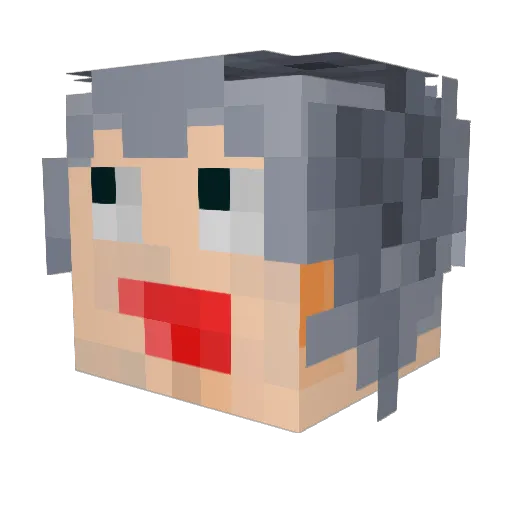 HTDBJ Minecraft avatar head, 3D render