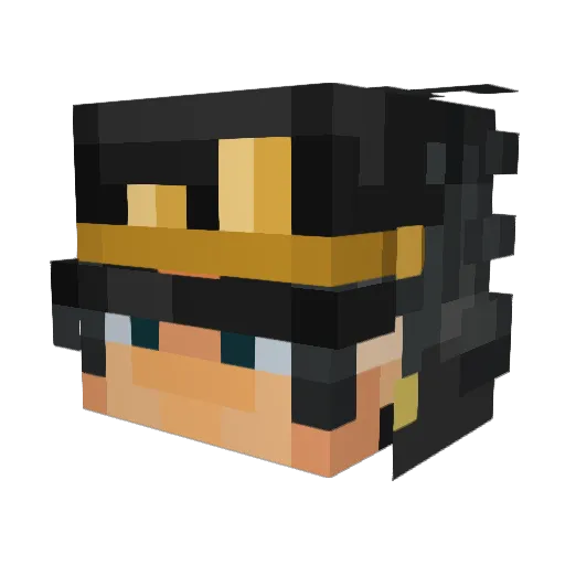 HTJoker96 Minecraft avatar head, 3D render