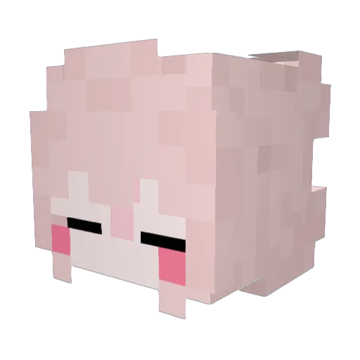 HTR_BStarBear Minecraft avatar head, 3D render