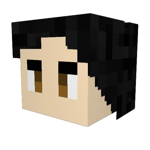 HTSHO Minecraft avatar head, 3D render