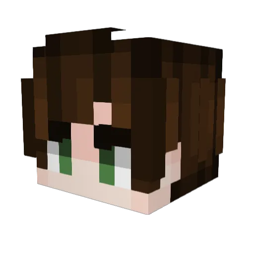 HTTYD Minecraft avatar head, 3D render
