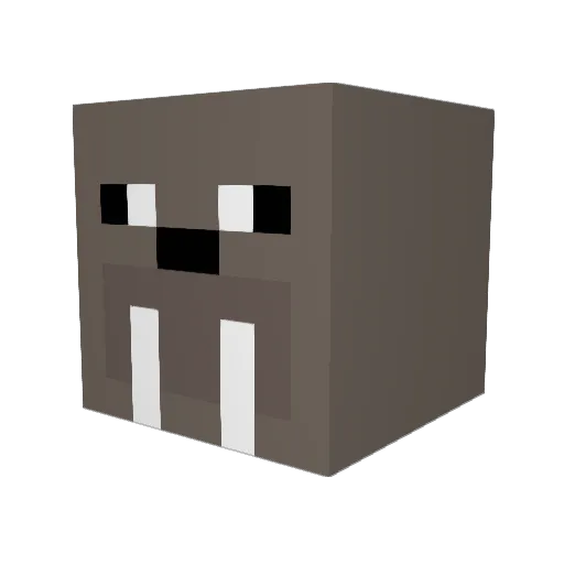 HTU_Folgers Minecraft avatar head, 3D render