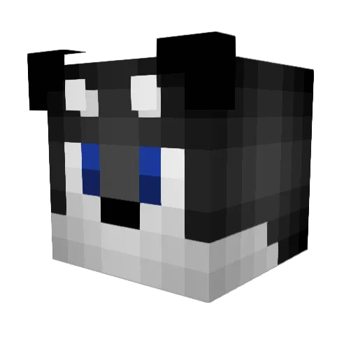 HUGOALEXCASPER Minecraft avatar head, 3D render