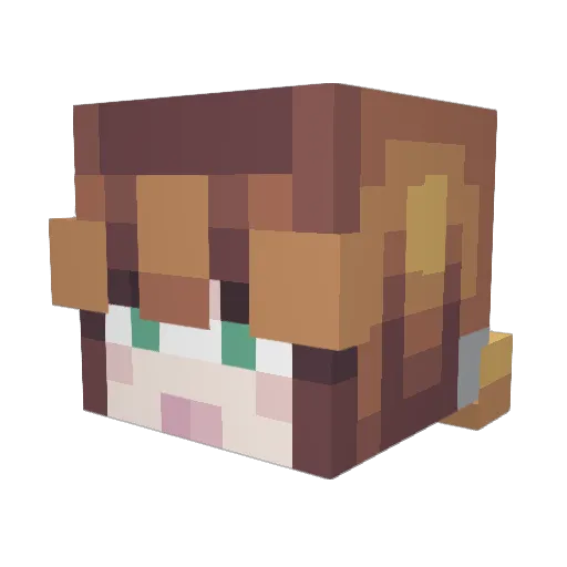 HUMAN1211 Minecraft avatar head, 3D render