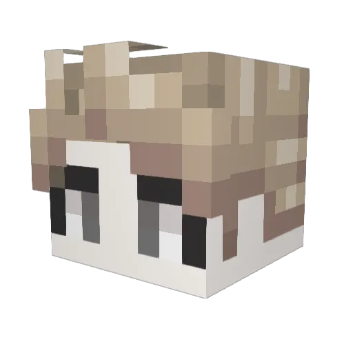 HUNHY Minecraft avatar head, 3D render