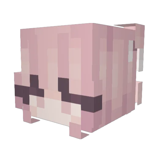 HUNTER_1204 Minecraft avatar head, 3D render
