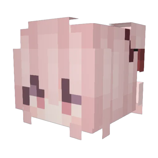 HUst_raiN Minecraft avatar head, 3D render