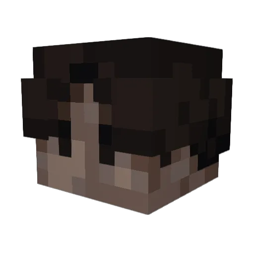 HVMANOPHOBIA Minecraft avatar head, 3D render
