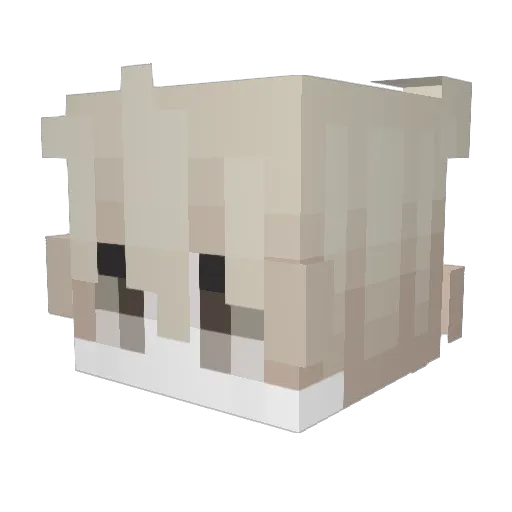 HV_Vards Minecraft avatar head, 3D render