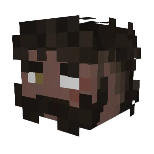 HWER Minecraft avatar head, 3D render