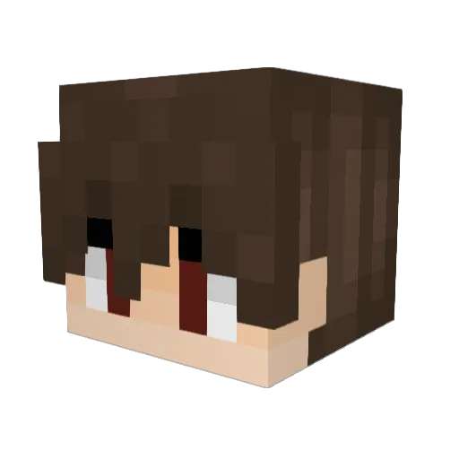 HYNEX_91 Minecraft avatar head, 3D render