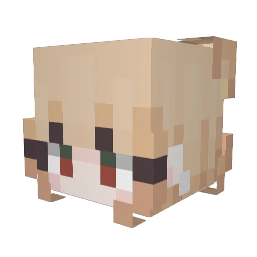 HYOJEONG22 Minecraft avatar head, 3D render