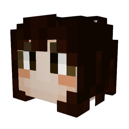 HYOS1N Minecraft avatar head, 3D render