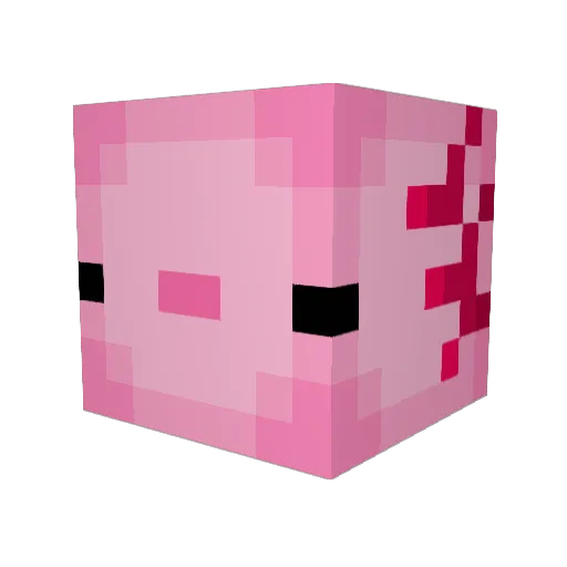HYP3RXP Minecraft avatar head, 3D render