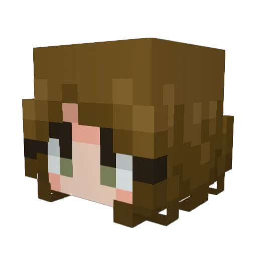 HYPERPUPP Minecraft avatar head, 3D render