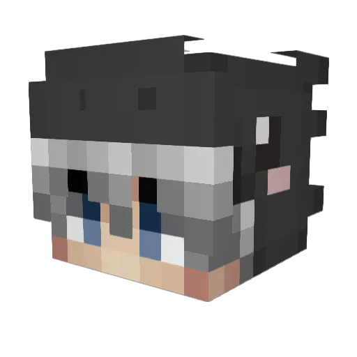 HYPNOTICCCCC Minecraft avatar head, 3D render