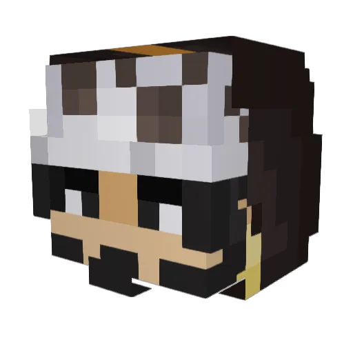 HYPRAJAPN Minecraft avatar head, 3D render