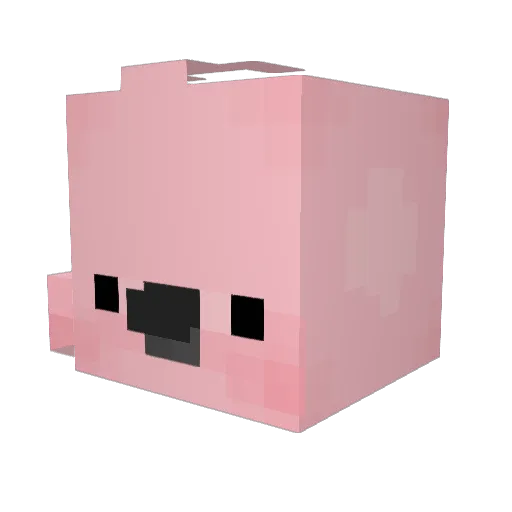 HYU_ZI Minecraft avatar head, 3D render