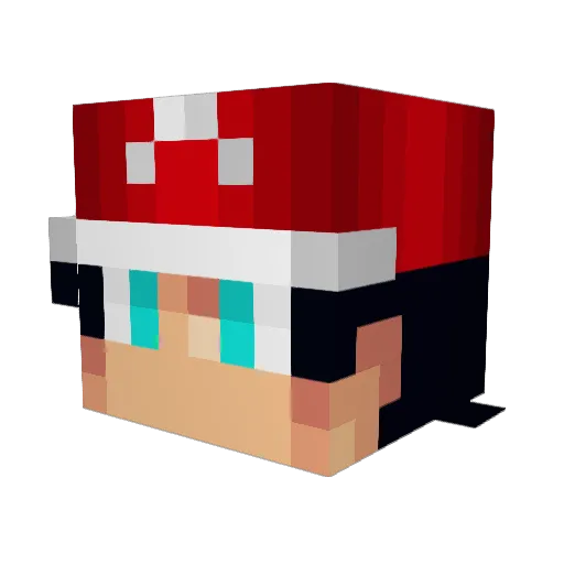 HYoung119 Minecraft avatar head, 3D render