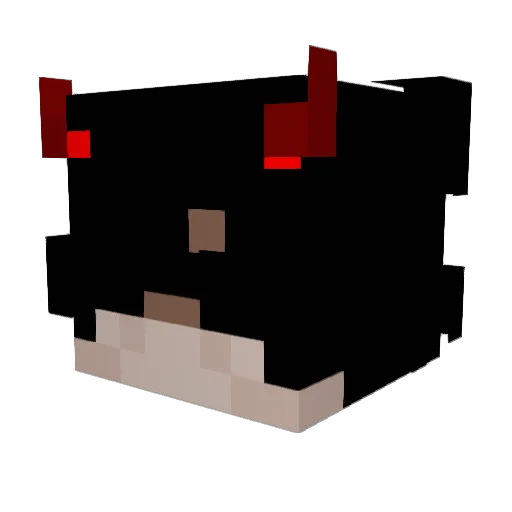 HYsquirrel Minecraft avatar head, 3D render