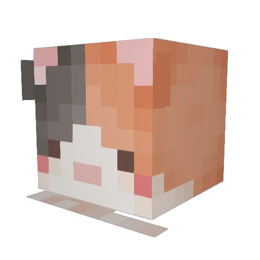 HZ_Saaamy Minecraft avatar head, 3D render
