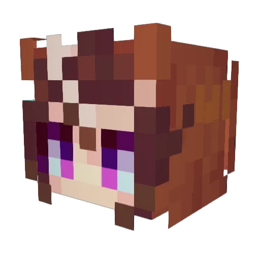 H_73_H Minecraft avatar head, 3D render