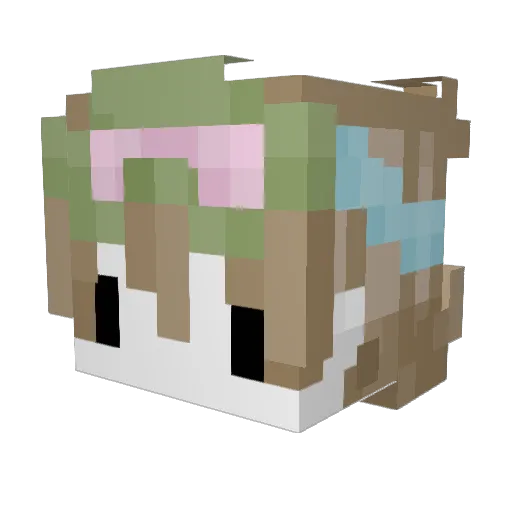 H_9s Minecraft avatar head, 3D render